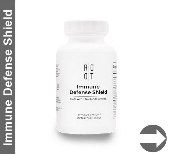 >> mehr Informationen