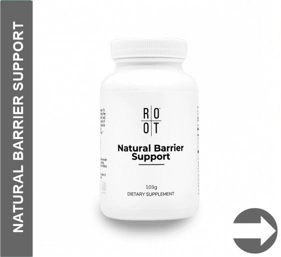 >>mehr Informationen